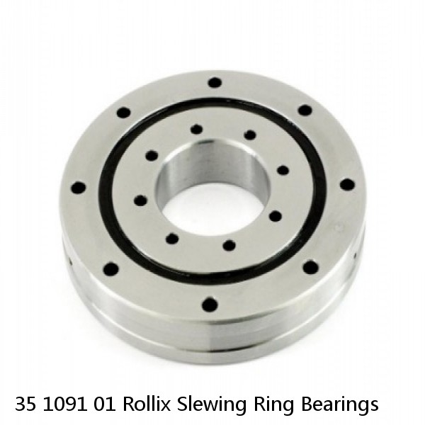 35 1091 01 Rollix Slewing Ring Bearings