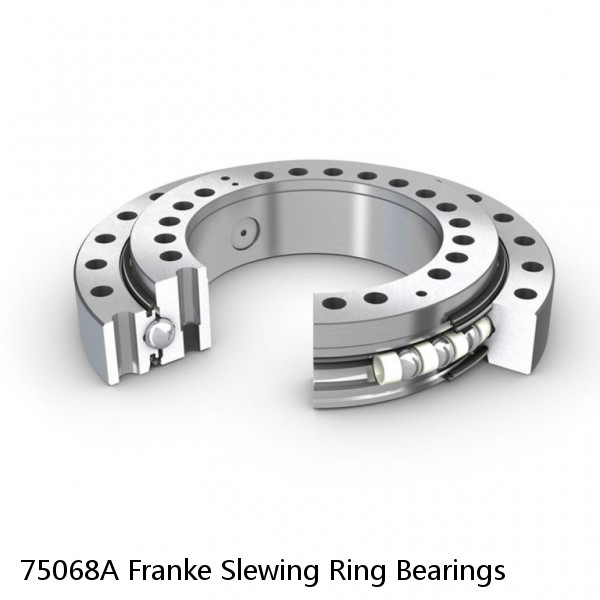 75068A Franke Slewing Ring Bearings