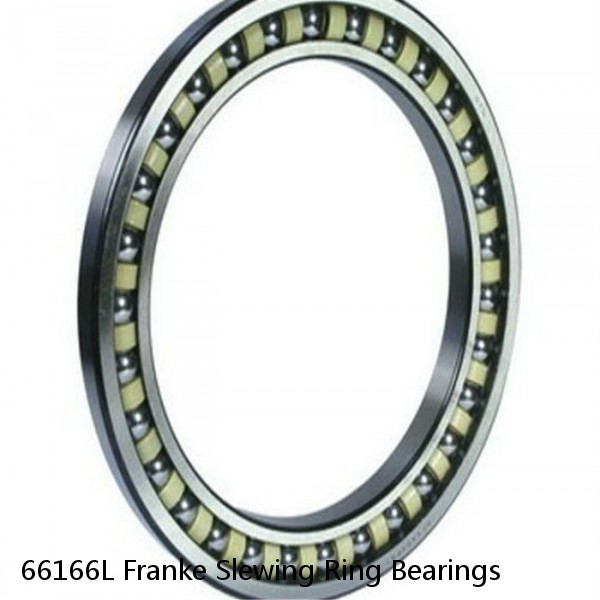 66166L Franke Slewing Ring Bearings