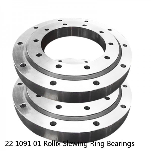 22 1091 01 Rollix Slewing Ring Bearings