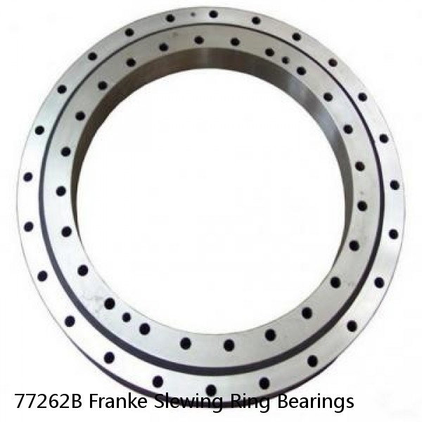 77262B Franke Slewing Ring Bearings