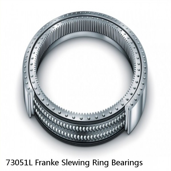 73051L Franke Slewing Ring Bearings