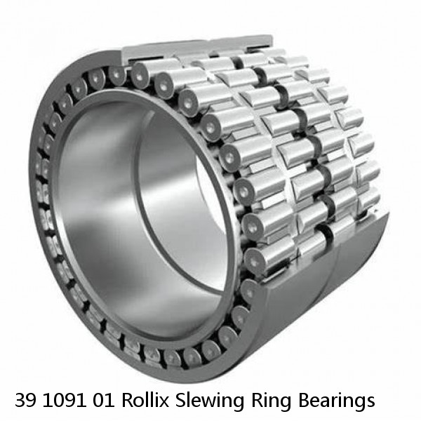 39 1091 01 Rollix Slewing Ring Bearings #1 small image