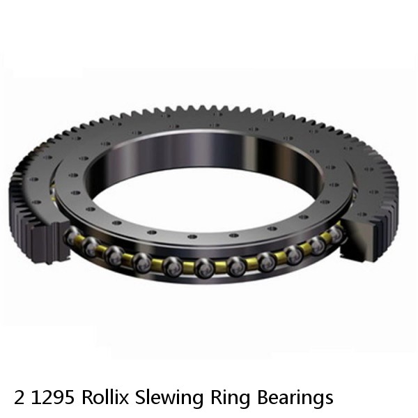 2 1295 Rollix Slewing Ring Bearings #1 small image