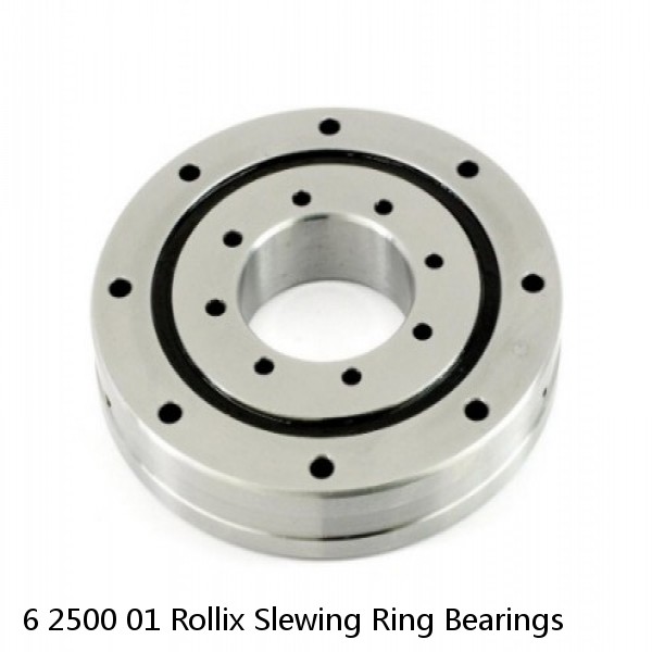 6 2500 01 Rollix Slewing Ring Bearings #1 small image