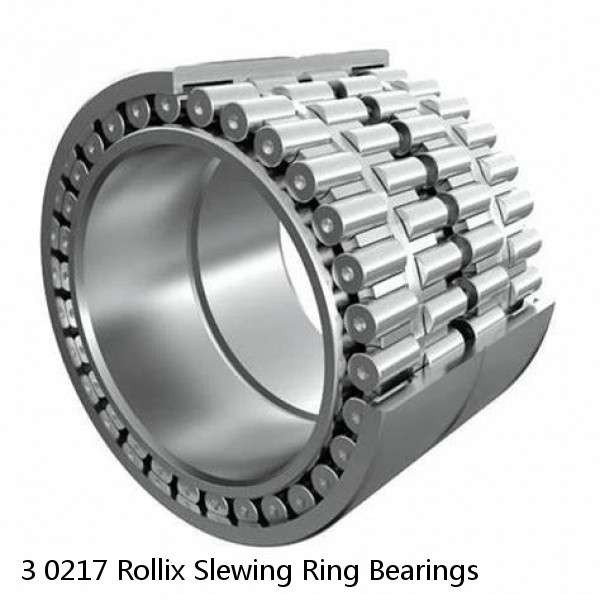 3 0217 Rollix Slewing Ring Bearings #1 small image