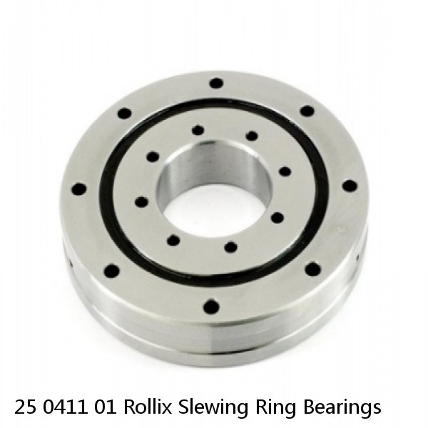 25 0411 01 Rollix Slewing Ring Bearings #1 small image