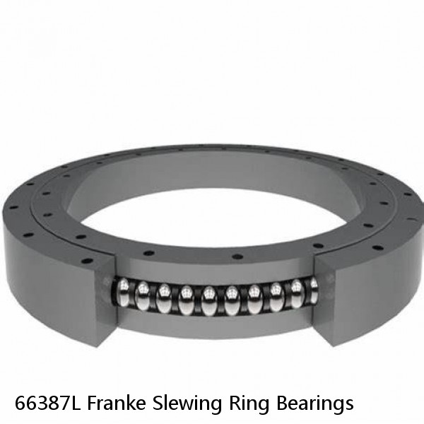 66387L Franke Slewing Ring Bearings #1 small image