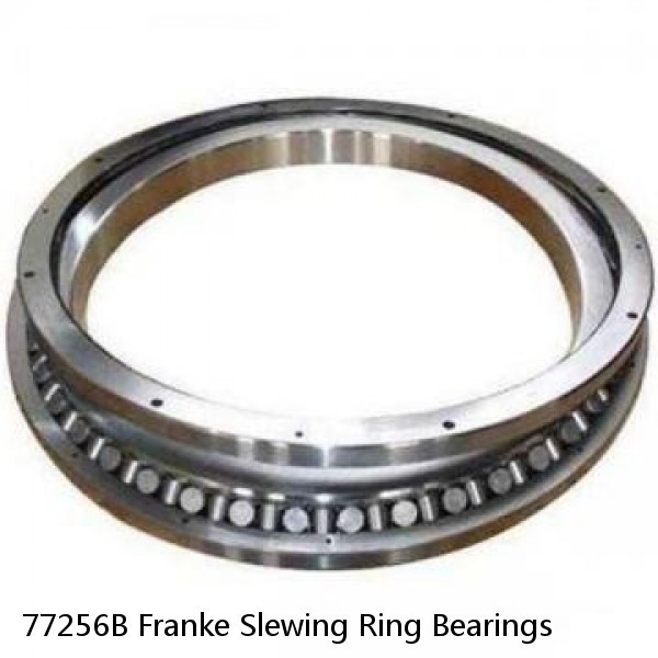 77256B Franke Slewing Ring Bearings #1 small image