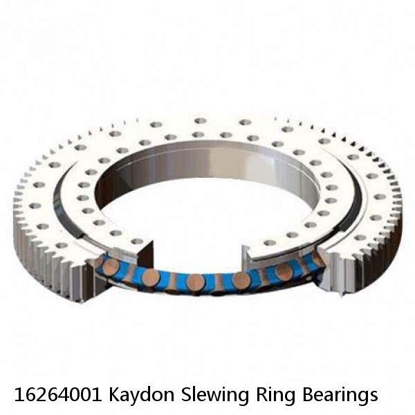 16264001 Kaydon Slewing Ring Bearings