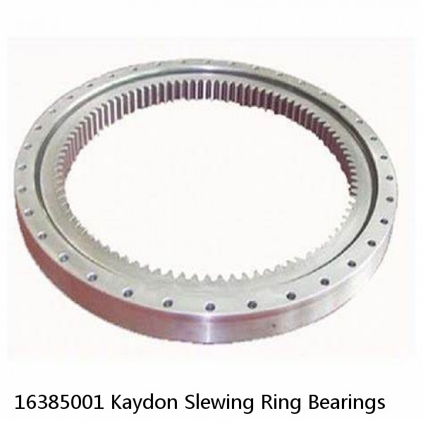 16385001 Kaydon Slewing Ring Bearings #1 small image