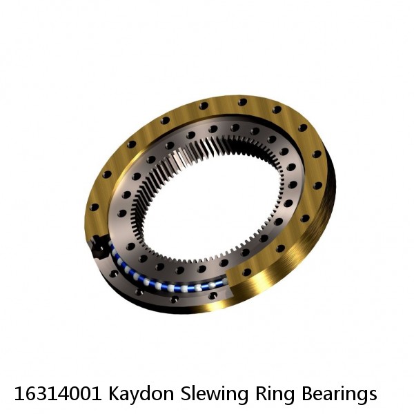 16314001 Kaydon Slewing Ring Bearings #1 image