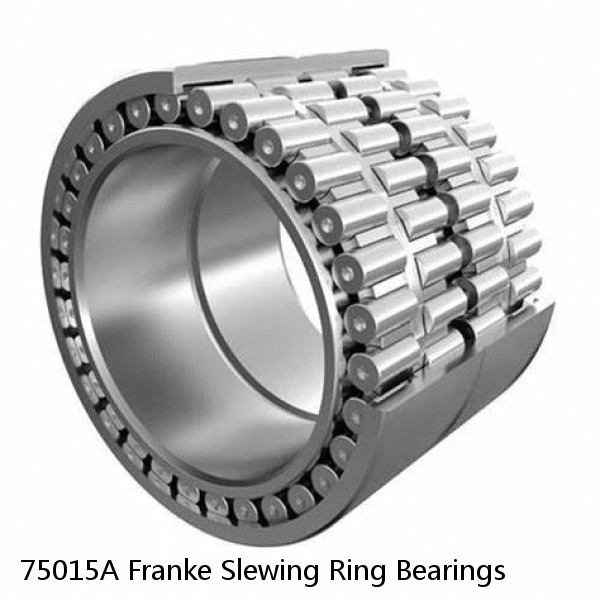 75015A Franke Slewing Ring Bearings #1 image