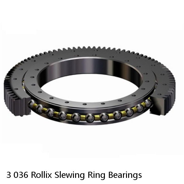 3 036 Rollix Slewing Ring Bearings #1 image