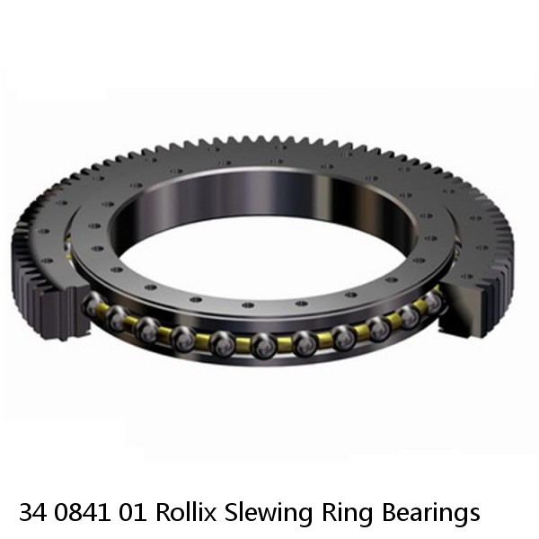 34 0841 01 Rollix Slewing Ring Bearings #1 image