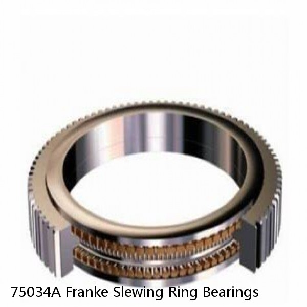 75034A Franke Slewing Ring Bearings #1 image