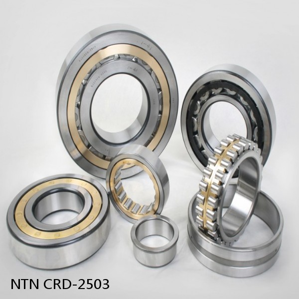 CRD-2503 NTN Cylindrical Roller Bearing #1 image